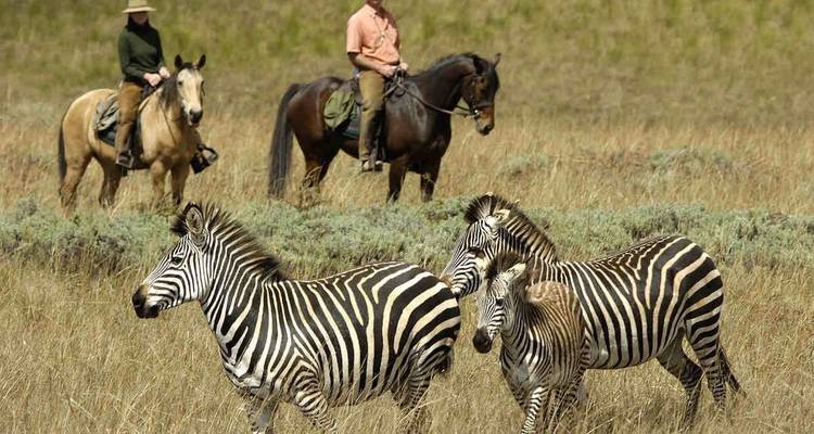 Safaris de conservación y Lago Malawi - Yellowwood Adventures Ltd 3