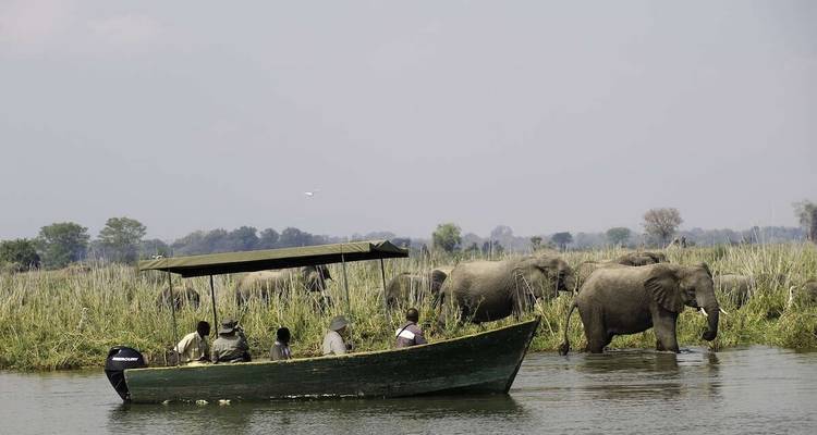 Safaris de conservación y Lago Malawi - Yellowwood Adventures Ltd 6