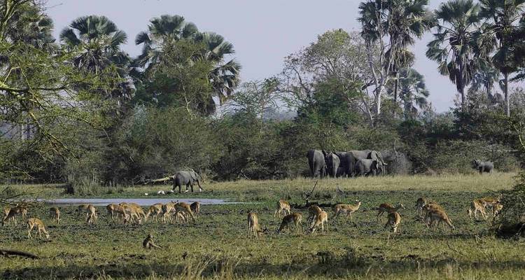 Safaris de conservación y Lago Malawi - Yellowwood Adventures Ltd 7