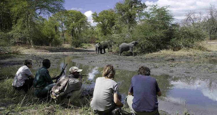 Safaris de conservación y Lago Malawi - Yellowwood Adventures Ltd 10