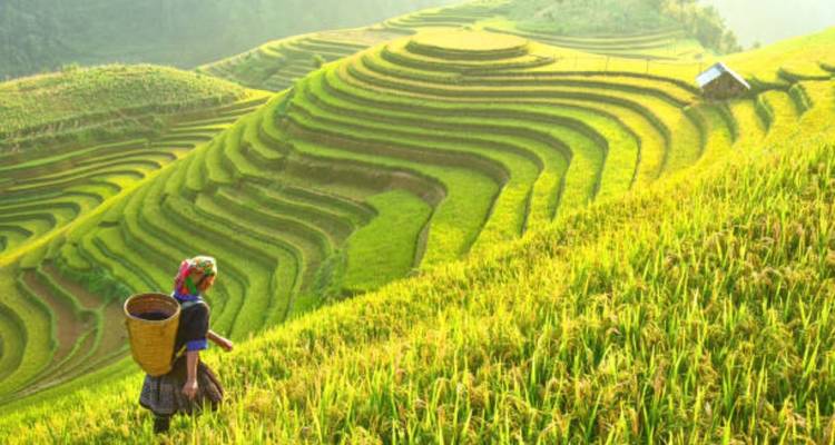 Best of North Vietnam 12 Days - Vio Travel 1