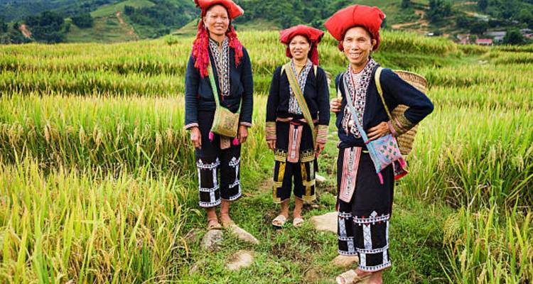 Best of North Vietnam 12 Days - Vio Travel 4