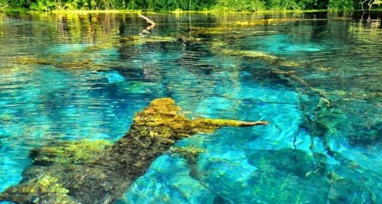 Kristalhelder water met ondergedompelde boomstammen.