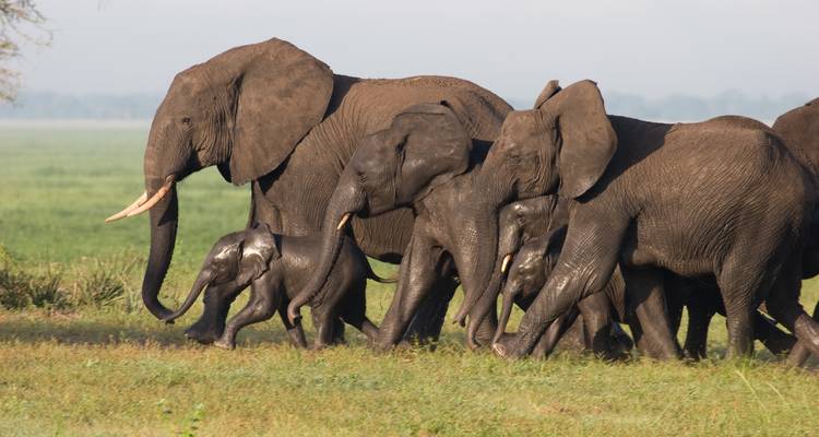 Aventura de 10 días en un safari por Kenia y vacaciones relajantes en la playa de Mombasa - Wonderful Holidays UK 1