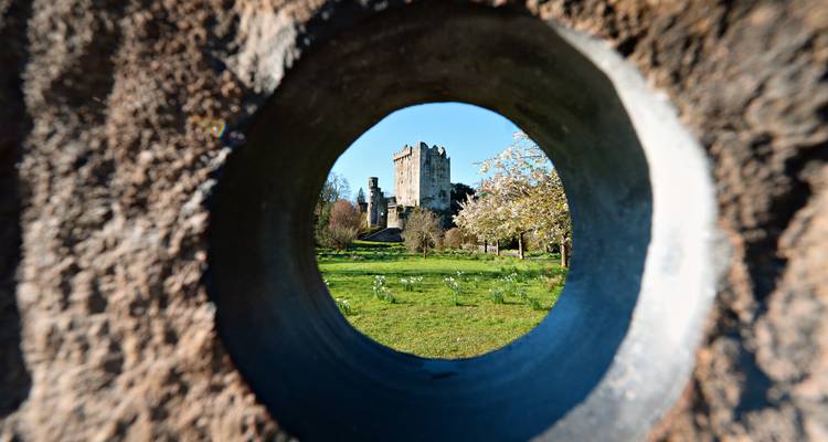 Vue du château de Blarney et d'un pré printanier à travers une ouverture circulaire en pierre.