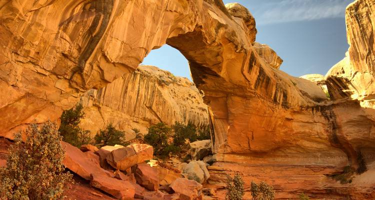 USA: National Parks Road Trip (End Los Angeles) - Contiki 6