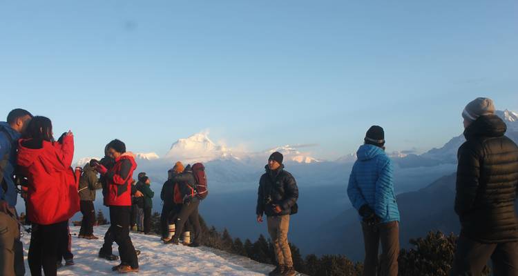 Trek de Ghorepani Poonhill depuis Pokhara - 4 jours - Glorious Himalaya Trekking Pvt. Ltd. 8