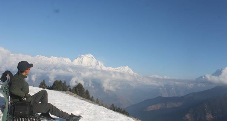 Trek de Ghorepani Poonhill depuis Pokhara - 4 jours - Glorious Himalaya Trekking Pvt. Ltd. 9