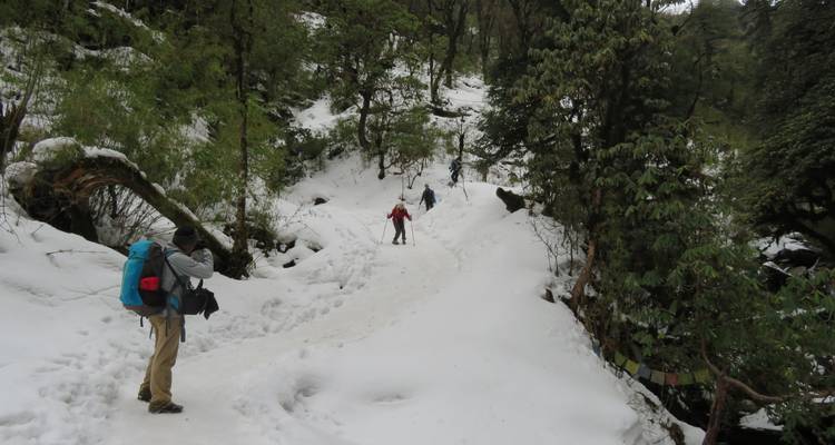 Trek de Ghorepani Poonhill depuis Pokhara - 4 jours - Glorious Himalaya Trekking Pvt. Ltd. 10