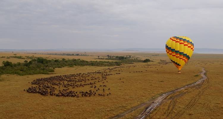 Safari passionnant au Kenya - Expédition de 7 jours - Wonderful Holidays UK 2