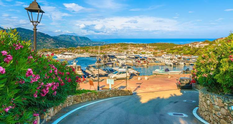 Marina llena de color con yachts y barcos, rodeada de flores de adelfa rosa en plena floración y colinas ondulantes que se encuentran con el azul del Mediterráneo.