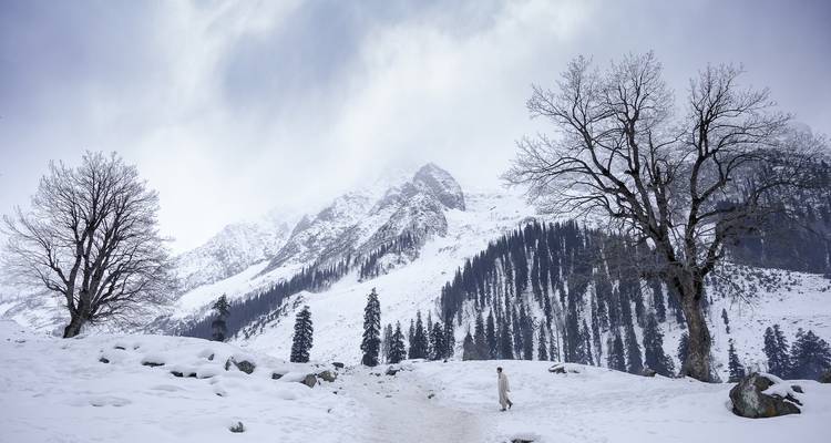 Short Trip to Kashmir - Alkof Holidays 6