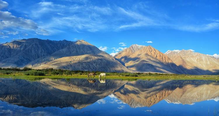 Paquete Turístico Srinagar-Ladakh-Manali - Alkof Holidays 3