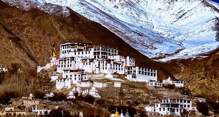 Unveiling Ladakh: Cultural Experience with Sham Valley Soft Trek - Alkof Holidays 4