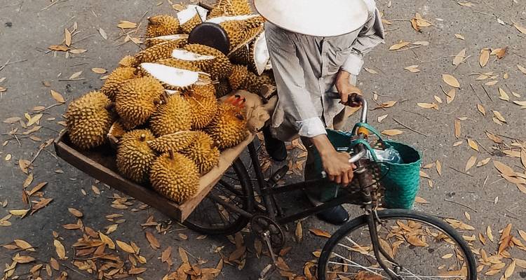 Vietnam Enchantment A 7-Day Classic Expedition From Hanoi - Wonderscape Travel 7