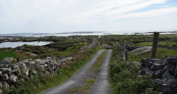 Londres - Dublín y la capital de Connemara - Railtours Ireland First Class 4