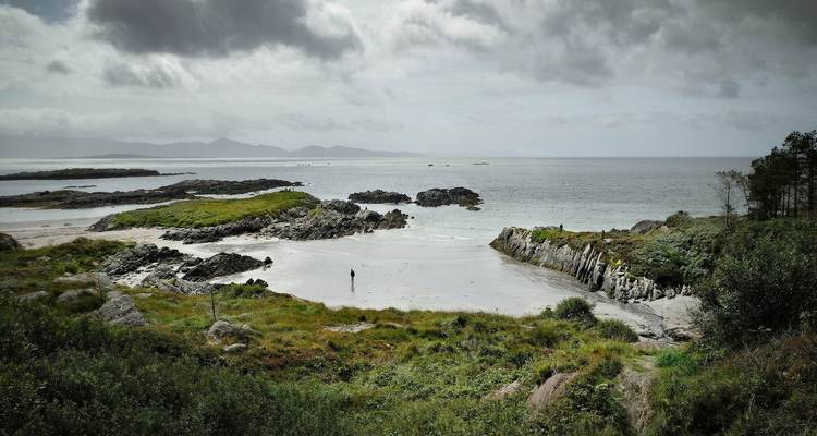 Londres - Dublin et la Grande Côte Sud et Ouest - Railtours Ireland First Class 3