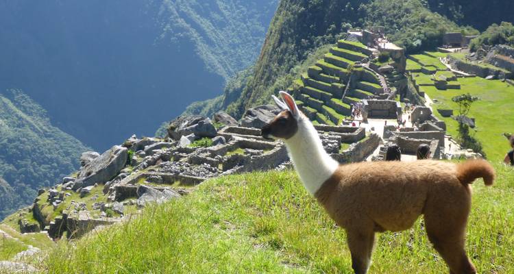 Explorer le Pérou et la Bolivie - Miller Reisen 4