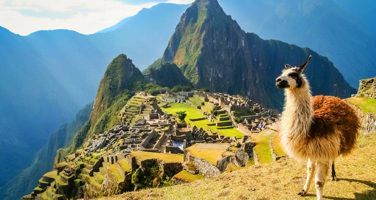 Entre los Andes, el Pacífico e islas encantadas - Miller Reisen 7