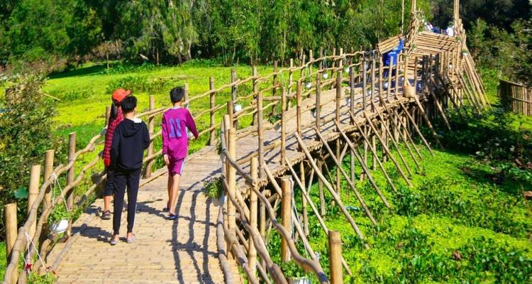 Beauté du Vietnam, du Cambodge et de la Thaïlande - 21 jours - Vietnam Allure Travel 4