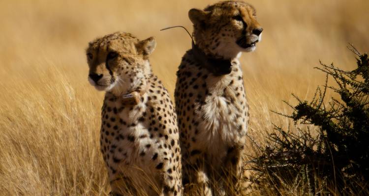 3-Day Sossusvlei Express Lodge Safari * DEPARTING SUNDAYS - World Adventure Tours 2