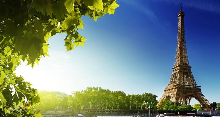 Tour Eiffel avec feuillage vert à Paris.