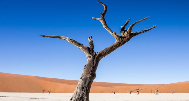 Safari de 4 jours à Swakopmund et Sossusvlei - Adventure en Lodge * DÉPART JEUDI - World Adventure Tours 9