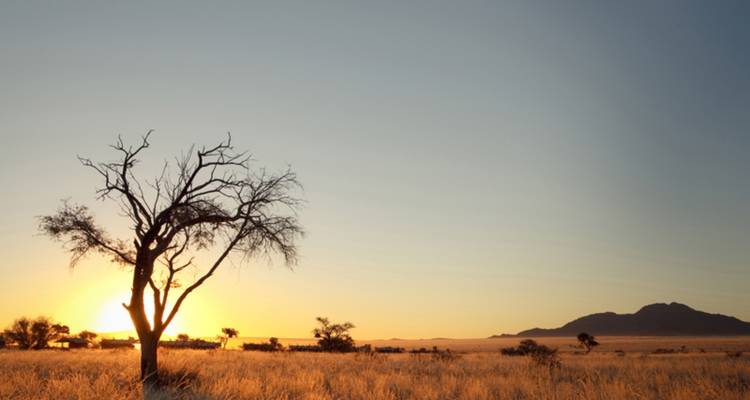 Safari de 4 jours à Swakopmund et Sossusvlei - Adventure en Lodge * DÉPART JEUDI - World Adventure Tours 10