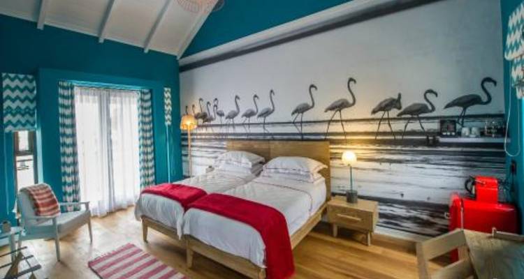 Expérience à Etosha et sur la Côte des Squelettes en 6 jours * DÉPART LE JEUDI - World Adventure Tours 1
