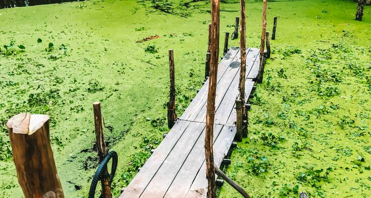 Vietnam serenidad del sur 4 días en Ho Chi Minh y delta del Mekong - Wonderscape Travel 4