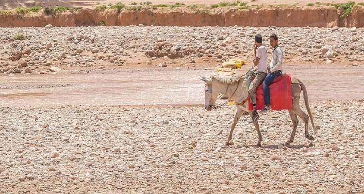Viaje familiar por Marruecos: Agadir y Marrakech - Morocco Luxury Tour 3