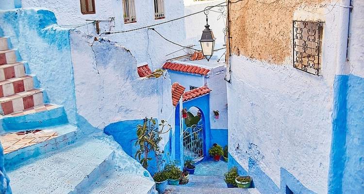Picturesque blue and white alley with potted plants and stairs.