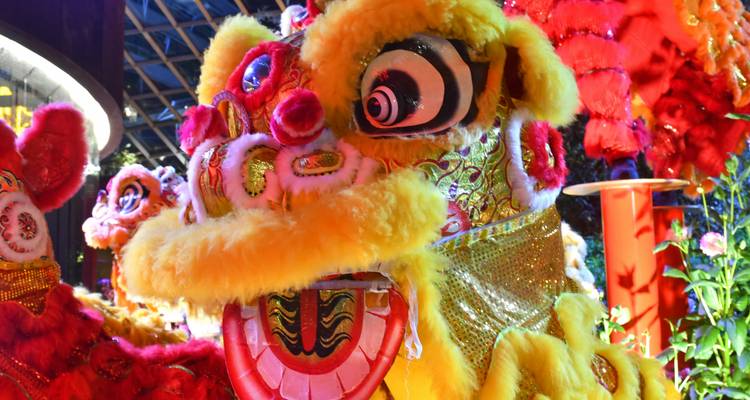 Vacaciones en familia en Borneo (12 destinations) - Intrepid Travel 8