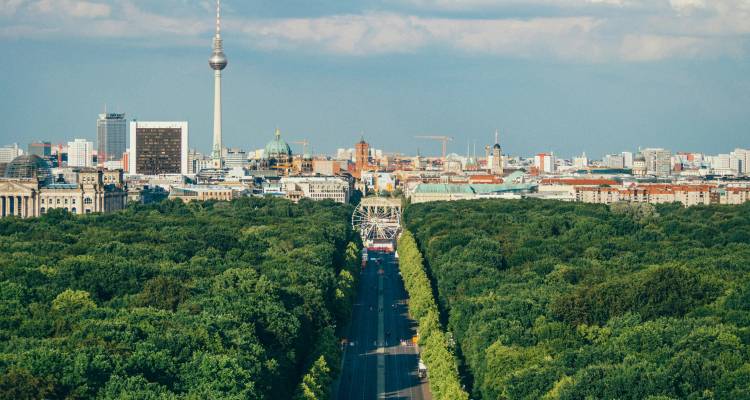La canopée des arbres du Tiergarten s'étend vers l'horizon de Berlin avec la Tour de Télévision
