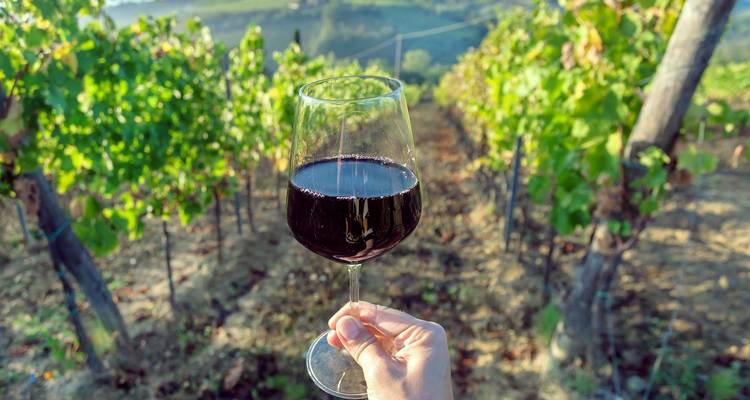 Circuit culinaire de 6 jours à Florence et en Toscane - Tourist Journey 8