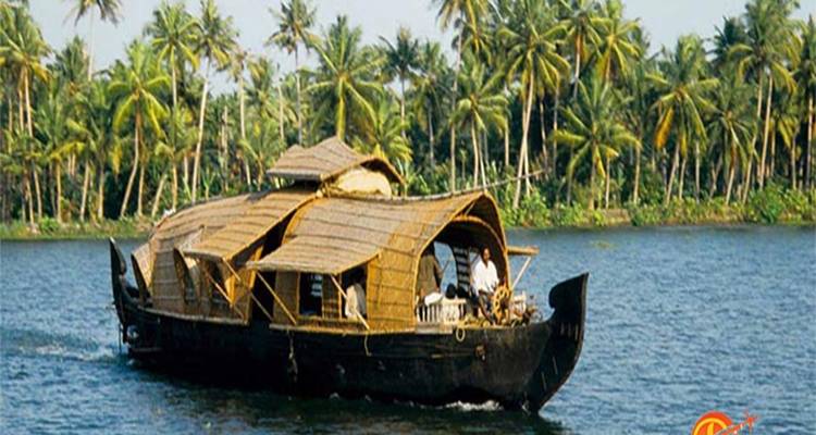 Things to do in Kerala & Kovalam Beach - Real viaggi india  3