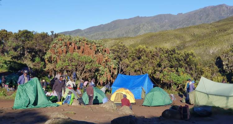 6-Day Climb Kilimanjaro (Marangu Route) - Eatl Tour and Safari Group  1
