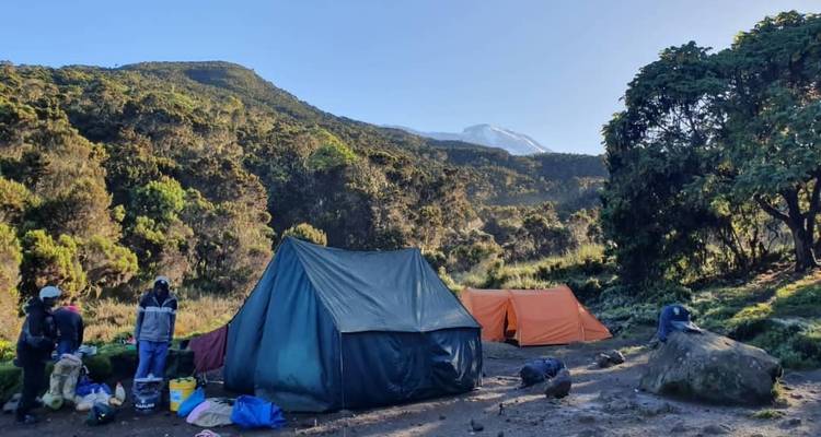 6-Day Climb Kilimanjaro (Marangu Route) - Eatl Tour and Safari Group  2