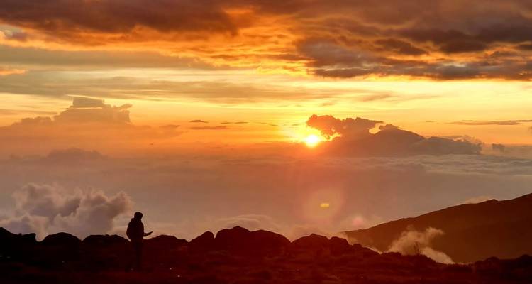 6-Day Climb Kilimanjaro (Marangu Route) - Eatl Tour and Safari Group  3