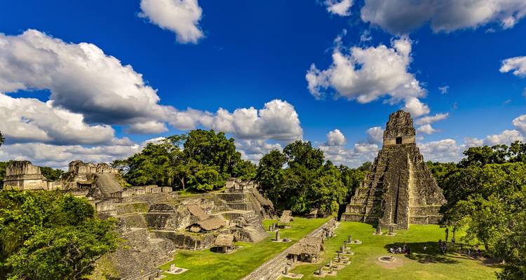 Les anciens temples mayas et la majestueuse Temple I de Tikal s'élèvent au-dessus de la jungle dense sous des nuages gonflés.