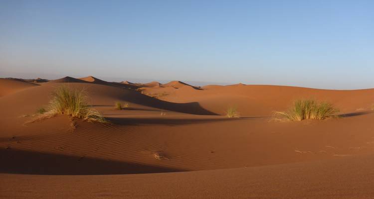 Vast desert landscape with sand dunes and sparse vegetation.