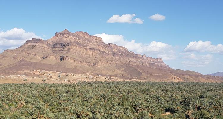Mountain with a verdant palm oasis in the foreground.