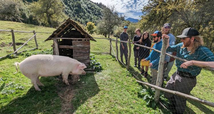 4 Days Multi Activities in Puerto Varas - Reloncavi, The 1st Fjord of North Patagonia - Responsible Travel South America 2