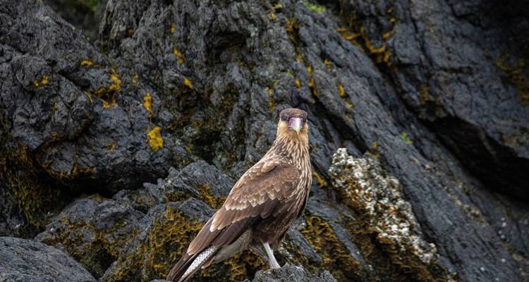 4 Days Multi Activities in Puerto Varas - Reloncavi, The 1st Fjord of North Patagonia - Responsible Travel South America 6