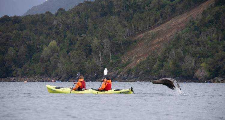 4 Days Multi Activities in Puerto Varas - Reloncavi, The 1st Fjord of North Patagonia - Responsible Travel South America 9