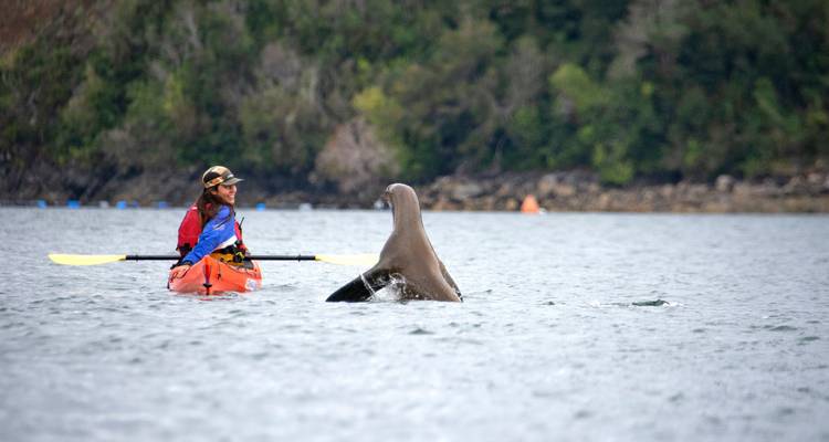4 Days Multi Activities in Puerto Varas - Reloncavi, The 1st Fjord of North Patagonia - Responsible Travel South America 10