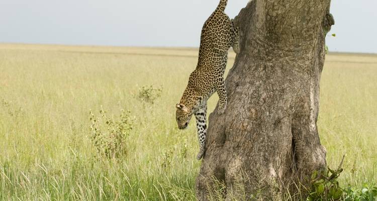 8 Days Untamed Africa Safari Expedition - Wonderful Holidays UK 3