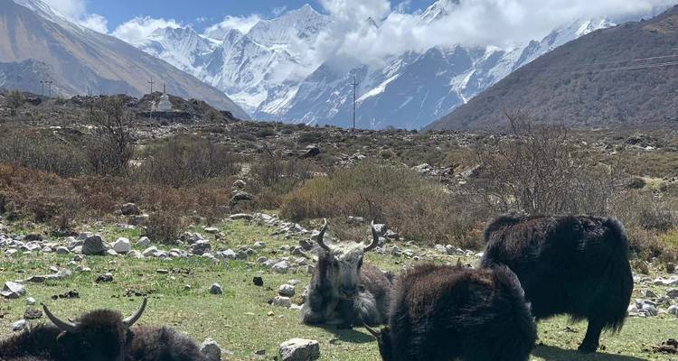 Langtang Valley Trek - 8 Days - Glorious Himalaya Trekking Pvt. Ltd. 6