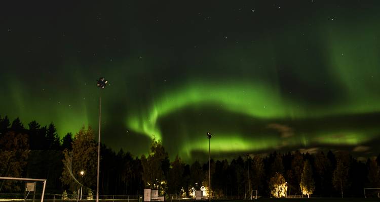 Roadtrip en Finlande : vers une aurore boréale dans une villa en verre - journaway 3
