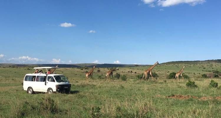 Safari Hakuna Matata Kenia de 7 días - BESH AFRICAN ADVENTURES 7